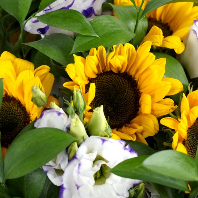 Ramos de Flores