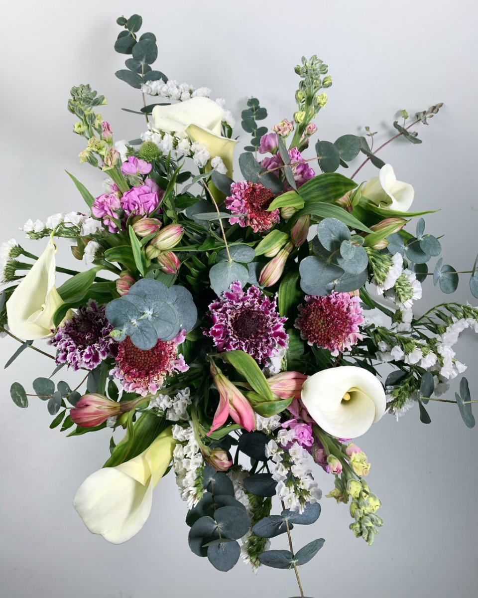 Dulce Primavera - Imagen 2