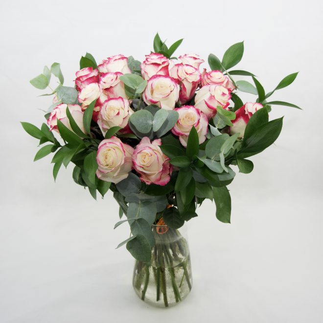ramo de rosas bicolor
