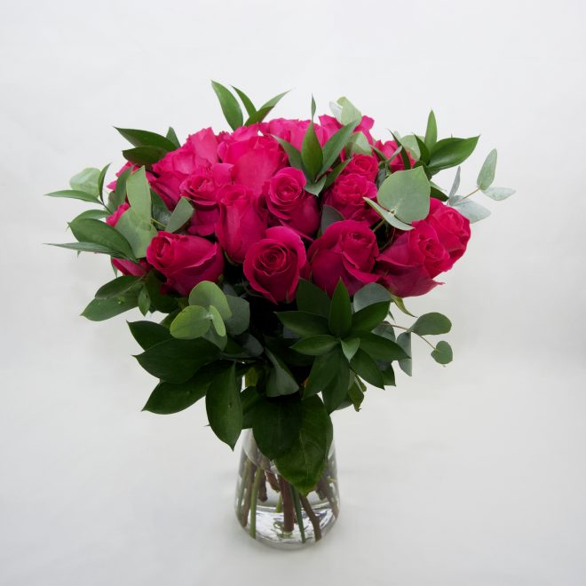 ramo de rosas fucsia